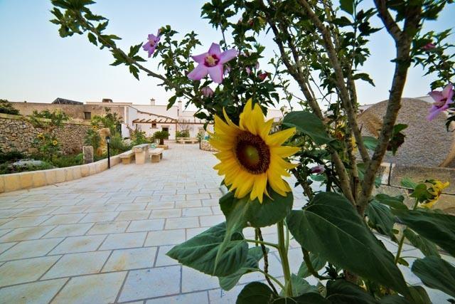 Masseria Cinti Bagnolo del Salento