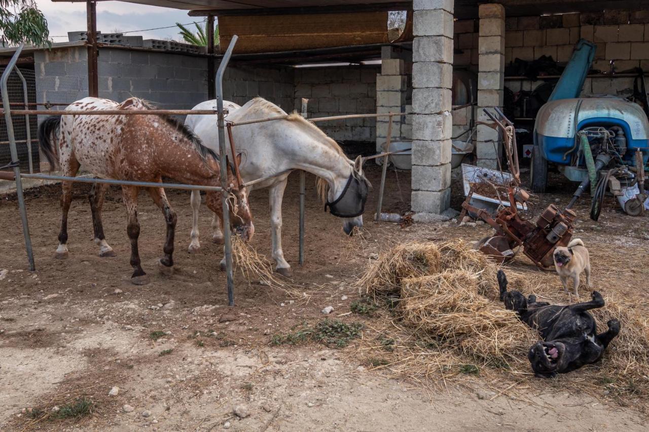 Séjour à la ferme Masseria Cinti *
